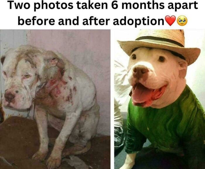 Before-And-After Joy Explosion