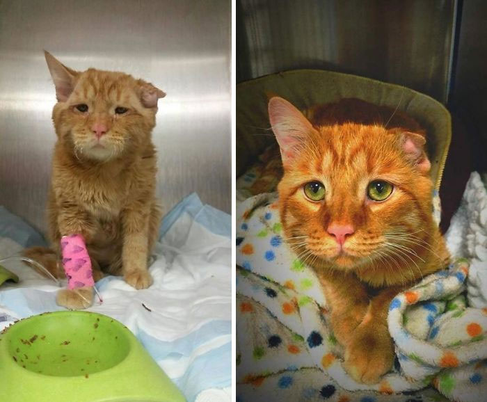 Benben’s Before/After