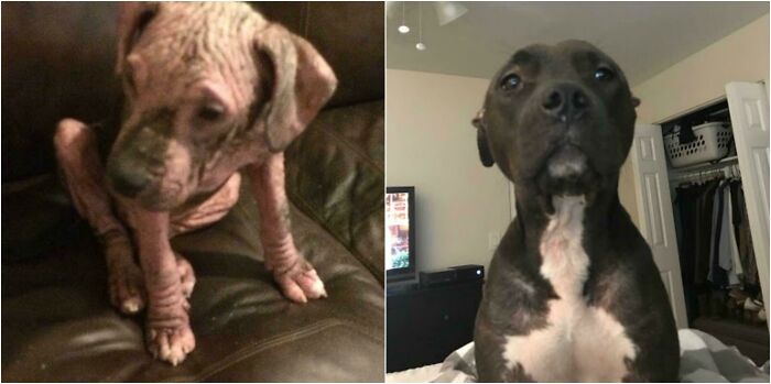 Look At This Two-Year Transformation!