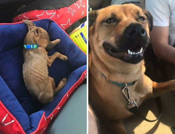 Skeleton Rescue To Smiling Sweetheart: Meet This Gal
