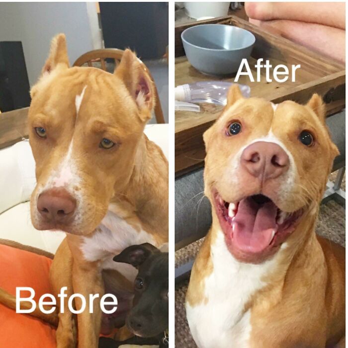 Bronco: Scary Look, Big Heart