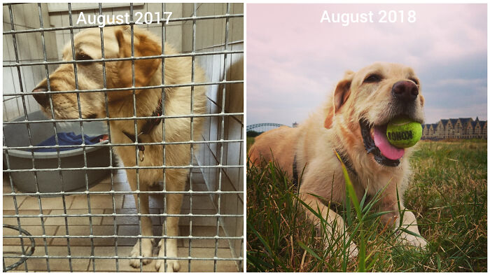 355 Days, Big Difference!