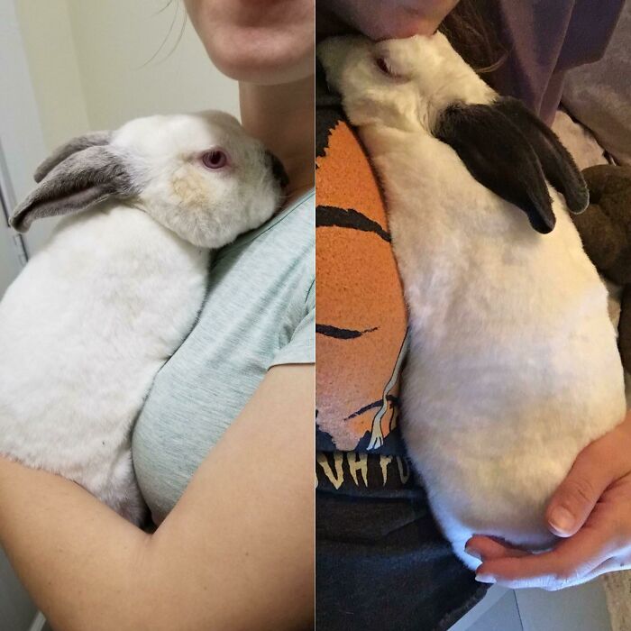 George: From Dumped To Darling