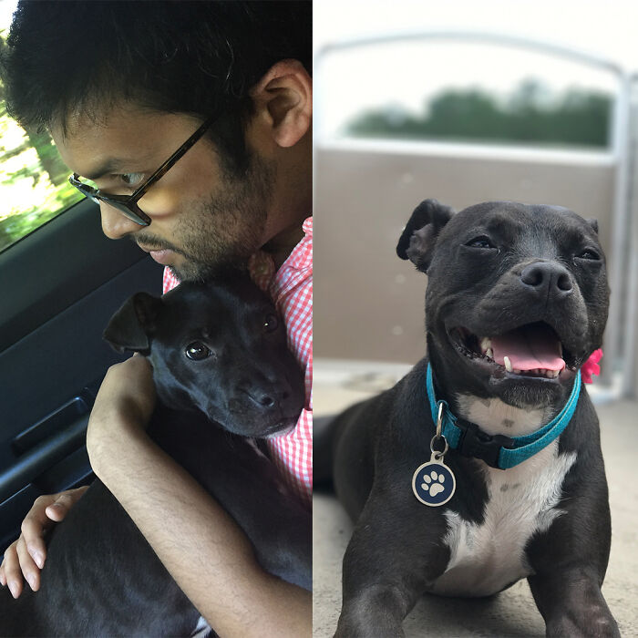 Sophie’s 2-Year Trouble-Making Transformation