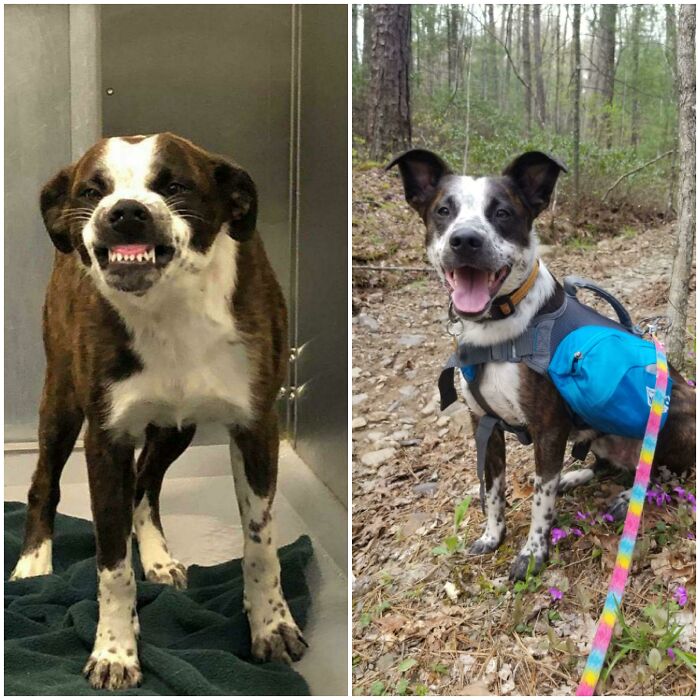 From Control Pick-Up To Couch Cuddler
