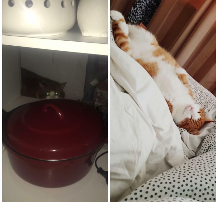 Day 1 Vs Day 30: Who Knew?