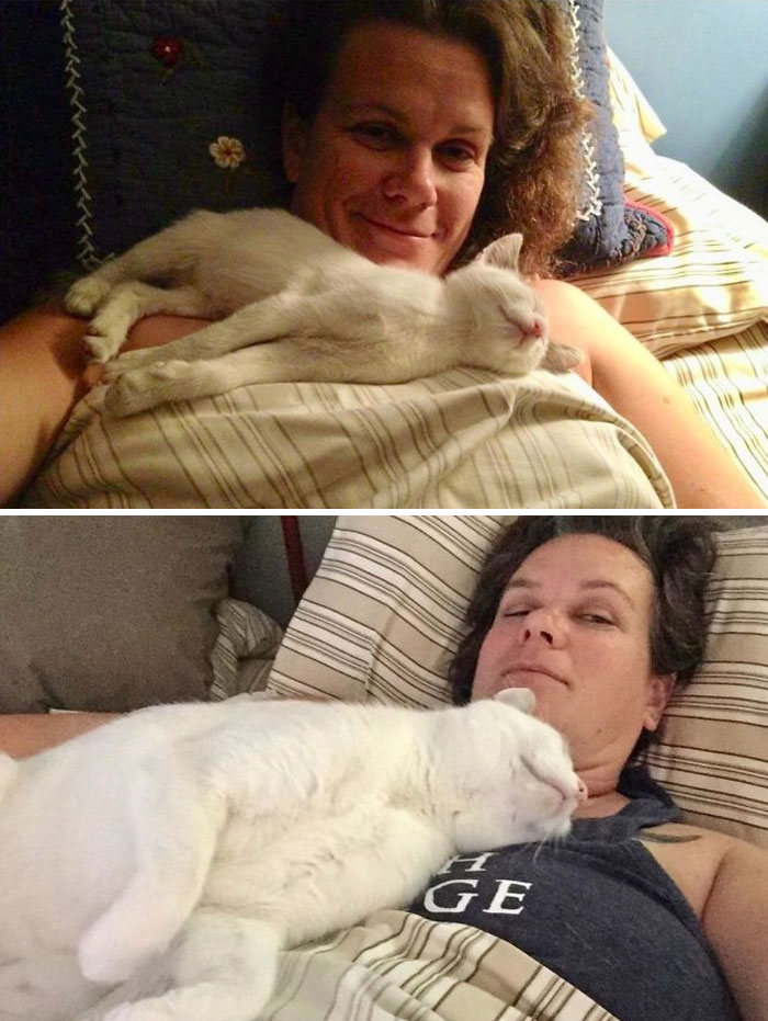 Melvin: Trash Heap To Lap Buddy