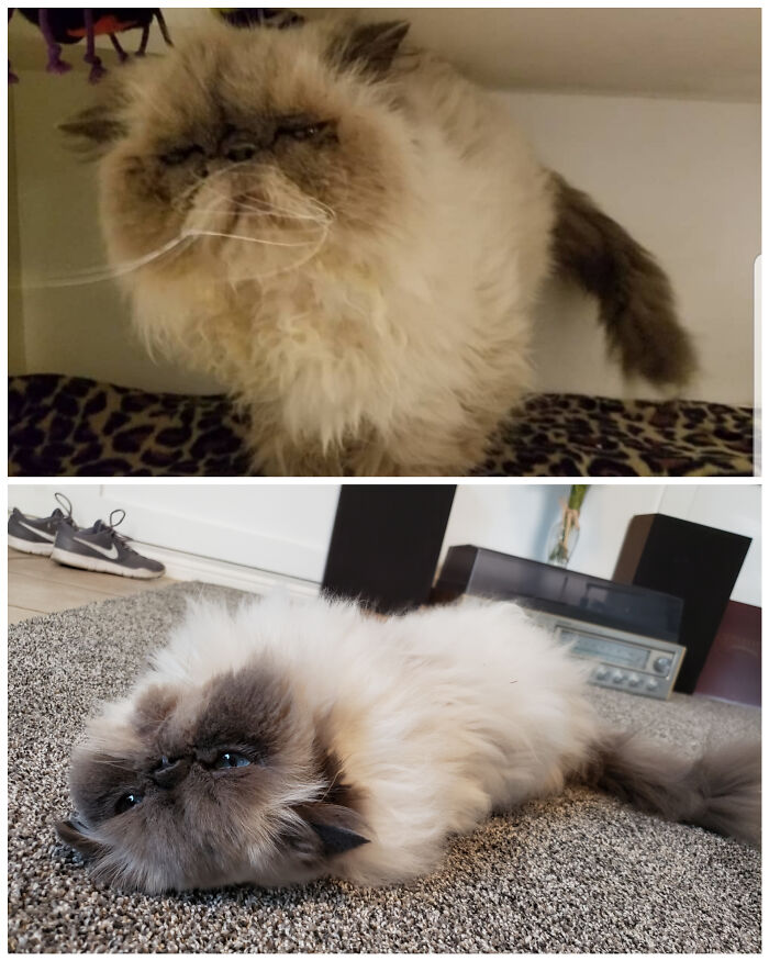 10-Year-Old Sweetie Comes Out Of Her Shell