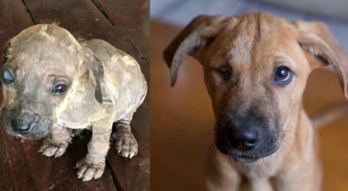 Mexico Vacation Turns Into Lifelong Buddy
