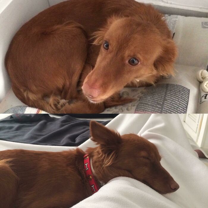 Annie: From 4 Years On The Streets To Family Favorite