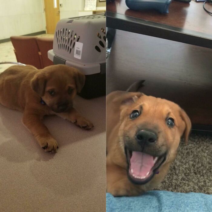Penny: Freezing Night Find To Smiling Sweetie