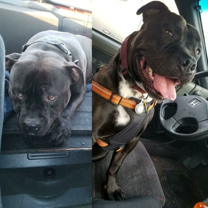 Shelter Ride To Plucky Rider