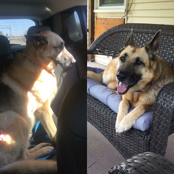 Shelter Ride Vs. 8 Week Glow-Up