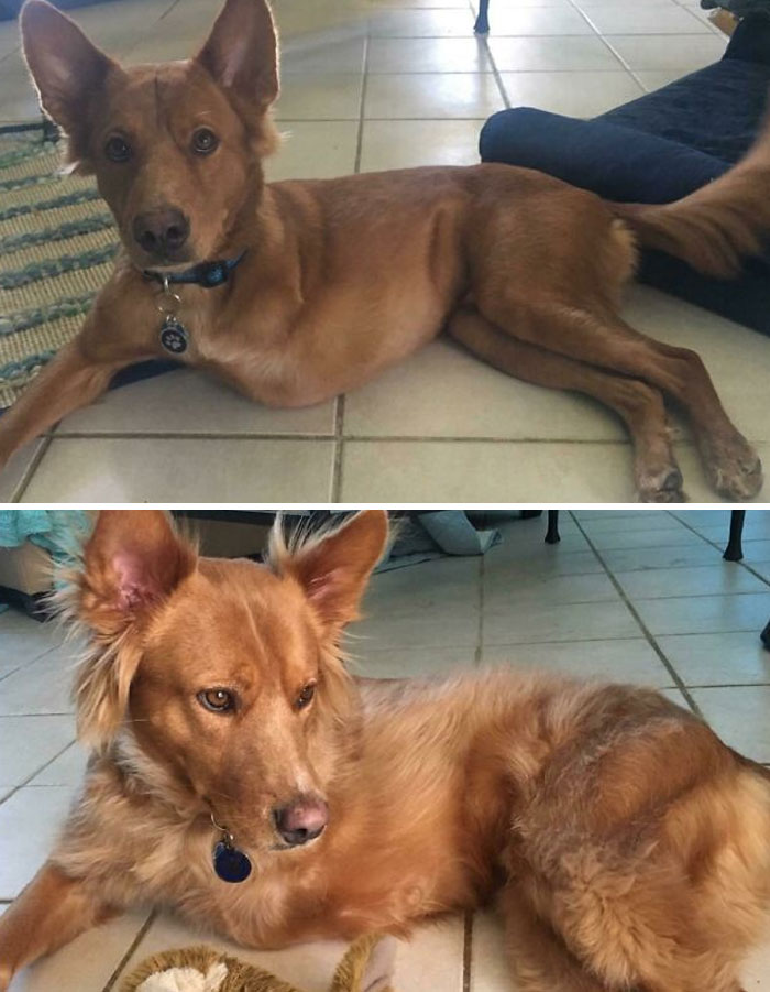 5 Months To Fluffy Fabulous