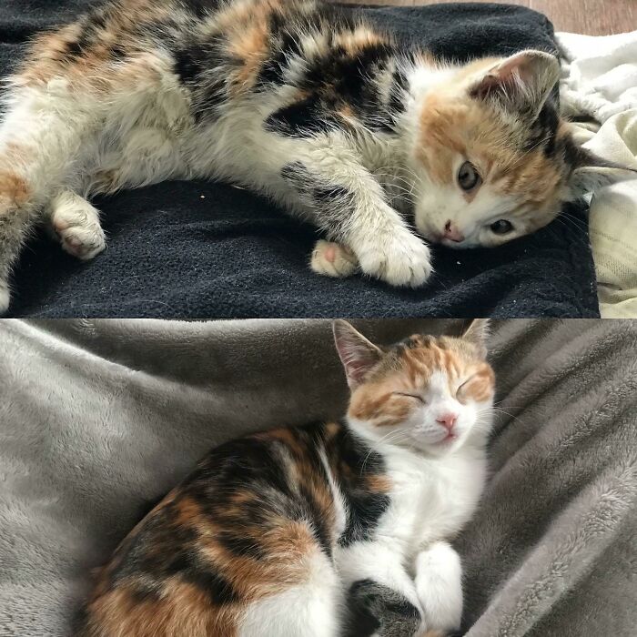 Broken Leg Beat Down To Brave Beauty