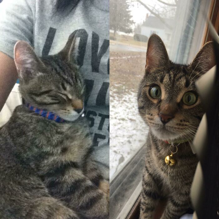 Luca: From Starved And Dumped To Best Friend