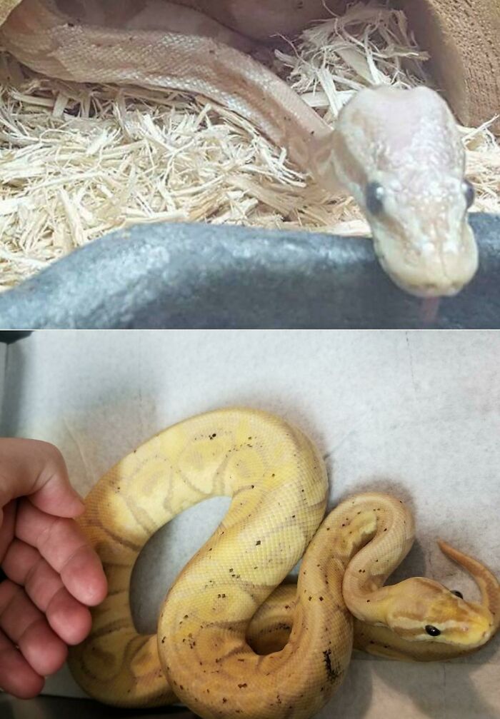 Love Melted This Cold Body In 6 Months