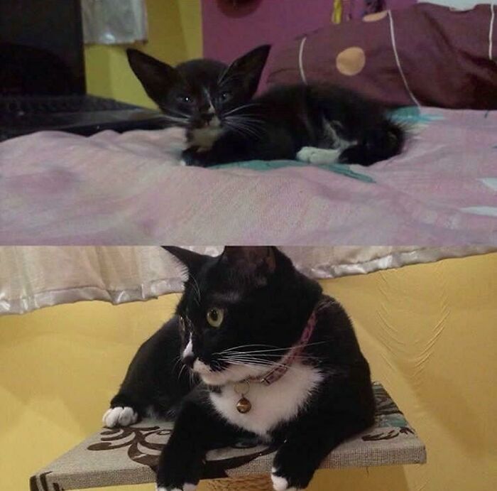 Babygirl: Drain Rescue To Loving Home