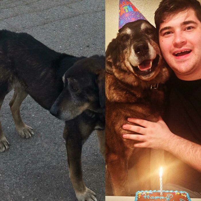 One Year & 30lbs Later - Look At Him!