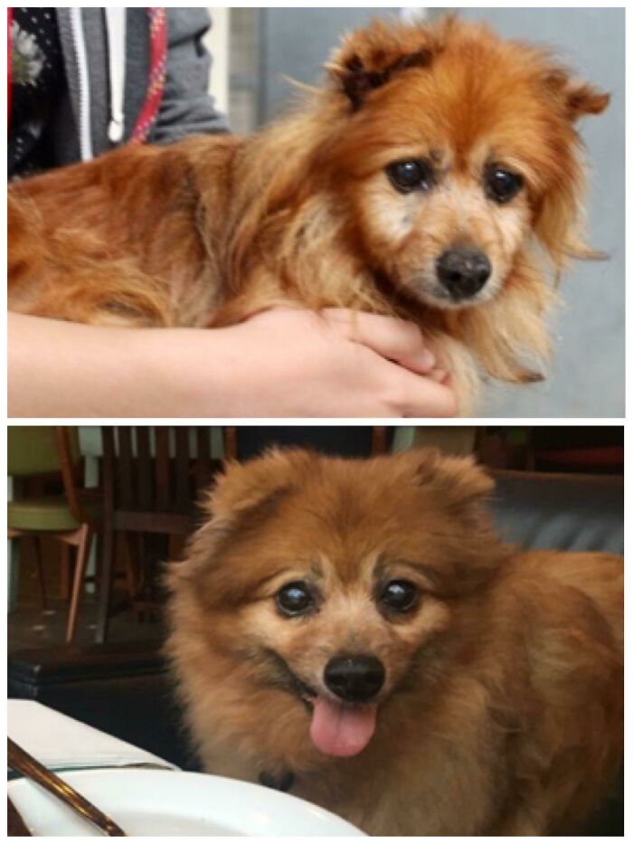 Popcorn’s First Home At 16 & Best Life At 17.5