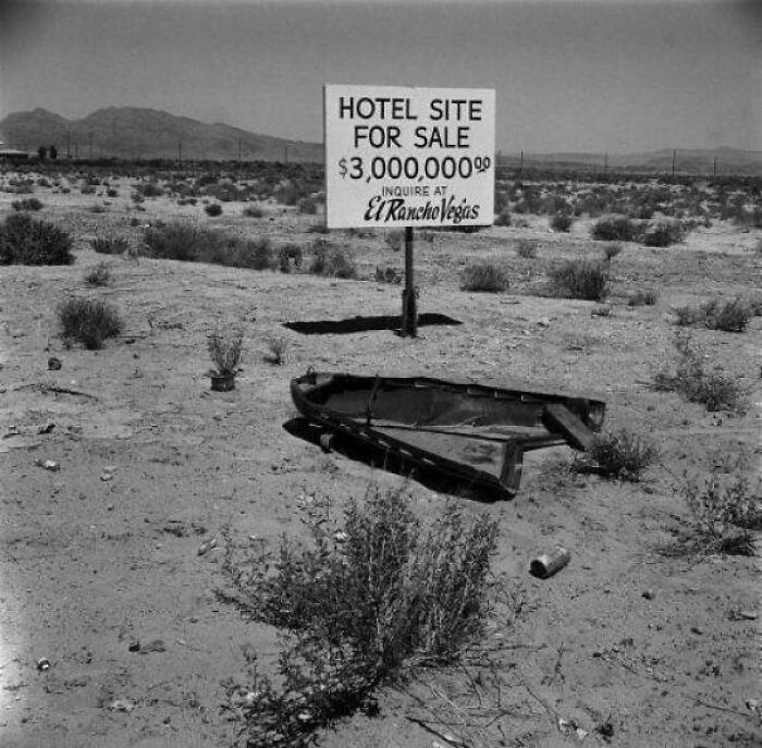 History Was Way Weirder Than You Thought—Check Out These Wild Photos!