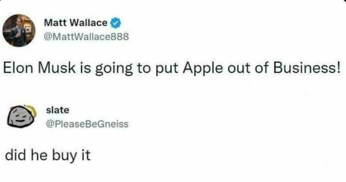 Musk Insults That Just Stick