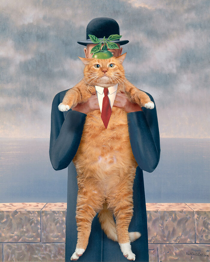 The Son Of Cat
