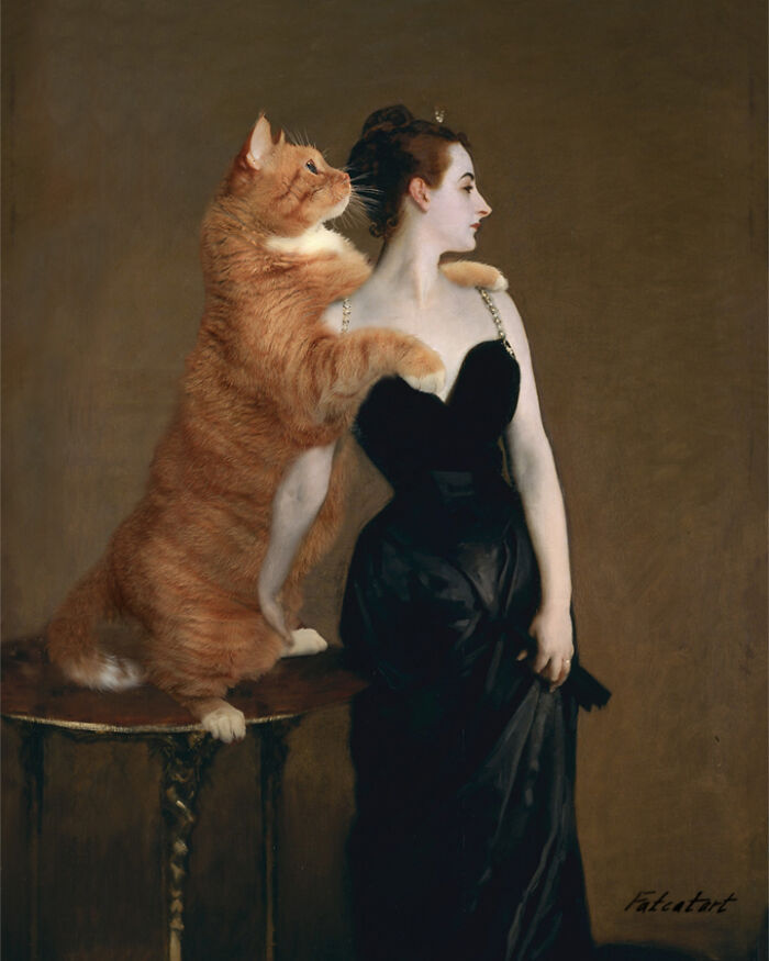 Madame X And Monsieur Z