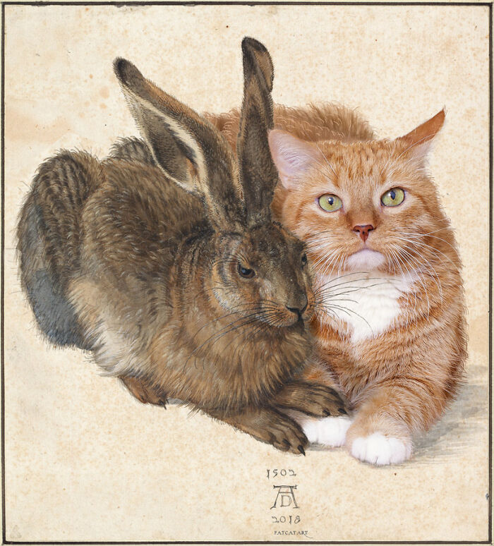 Young Hare And Wise Cat