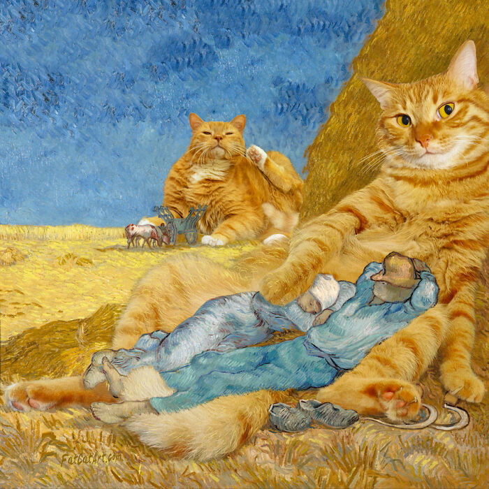 The Siesta With Guardian Cats