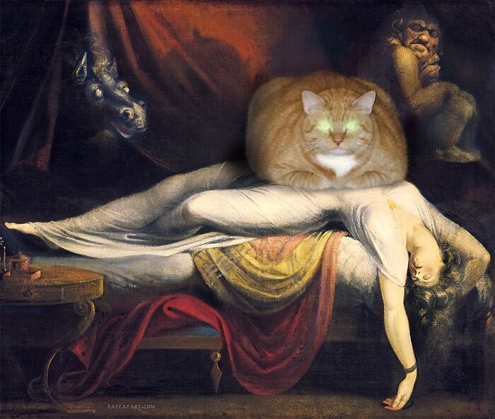 The Nightmare Cat