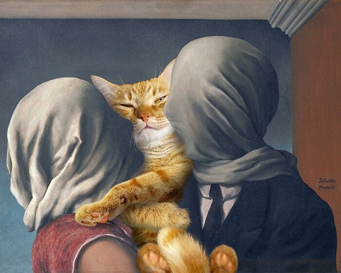Cat Lovers Reunited