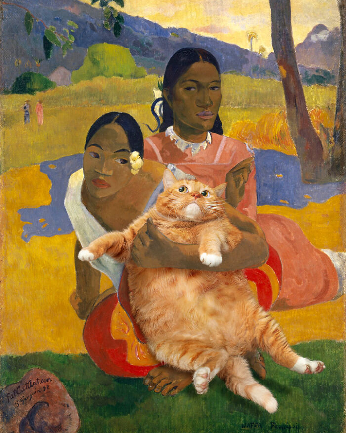 When Will You Marry, Cat Lover?