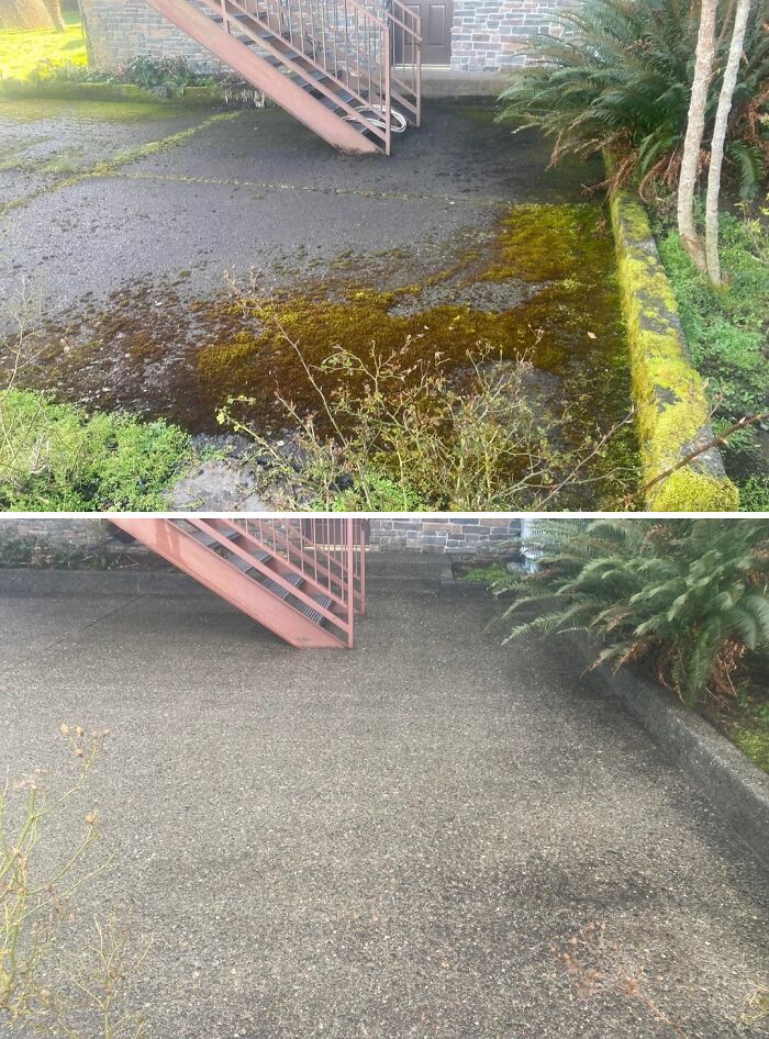 Today’s Super Mossy Patio Adventure
