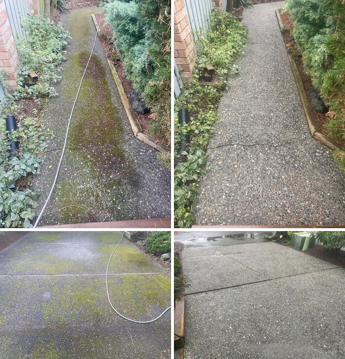 Moss Be Gone: Before and After