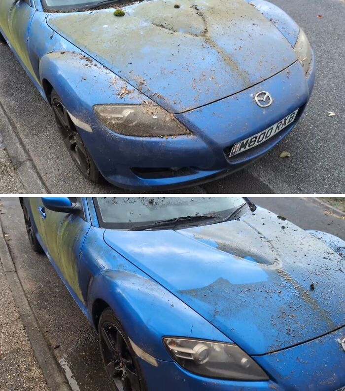 Car Unveiled After 3 Years Parked