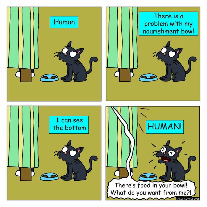 Wait, Guess What These 35 Comics Made From Everyday Weirdness?