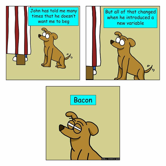 Wait, Guess What These 35 Comics Made From Everyday Weirdness?