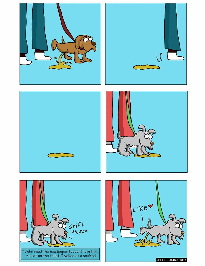 Wait, Guess What These 35 Comics Made From Everyday Weirdness?