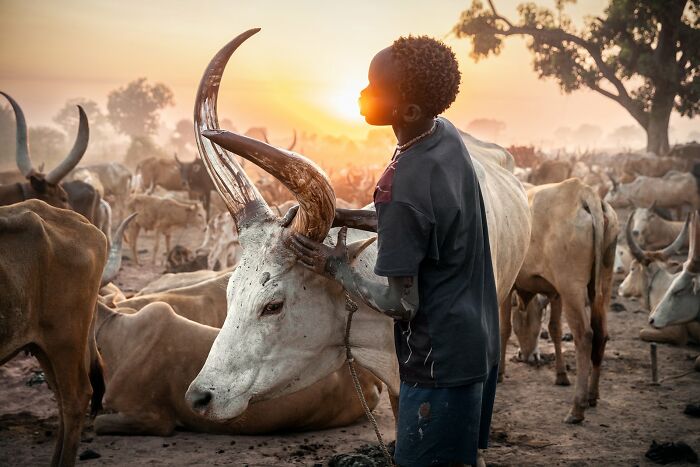 Vanishing Worlds: A Sneak Peek Into Cultures Going Poof
