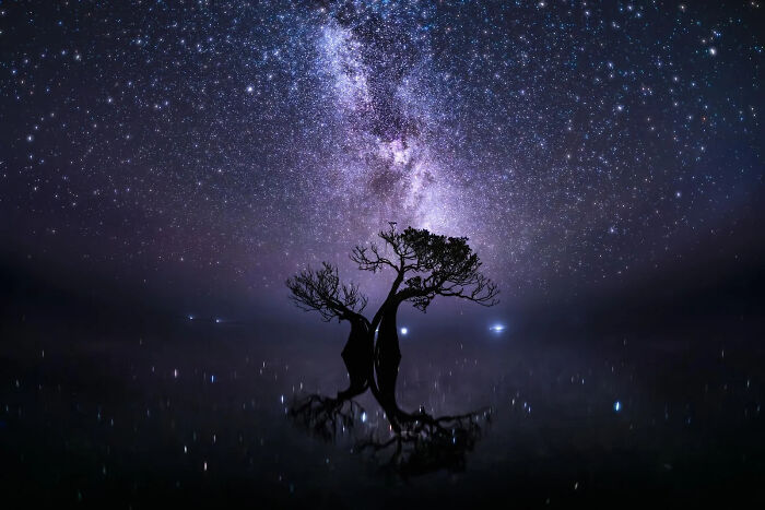 Where Time Stands Still: Tree + Stars = Cosmic Chill