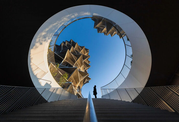 Framed Presence: Lone Figure Steals The Show