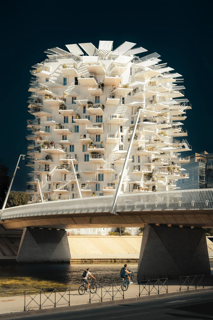 L’arbre Urbain: Montpellier’s Balcony Tree Showoff