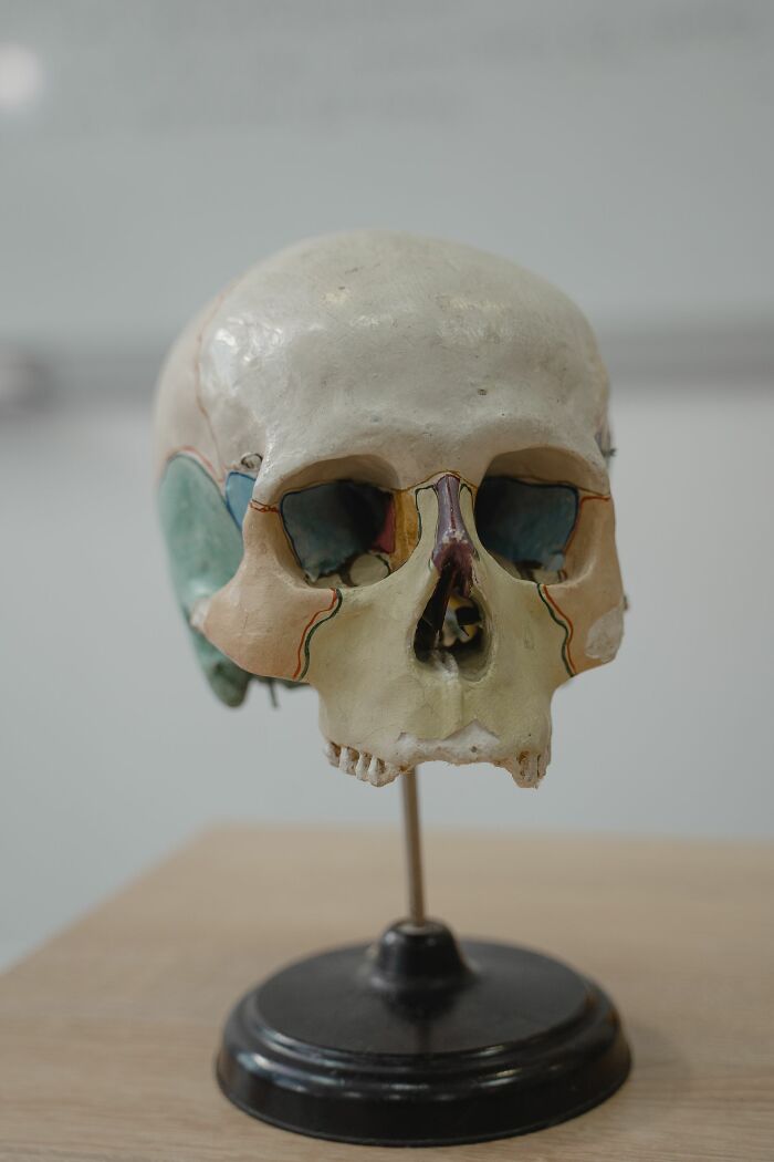 Wait, They Actually Shared What It Felt Like To Be Dead (And Then Not!)