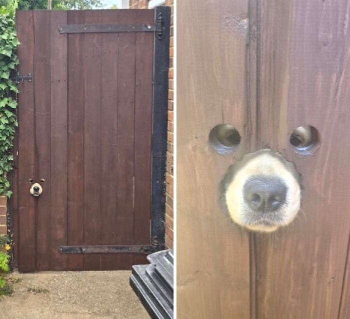 Made a Garden Gate with Old Floor Boards and Added a Cool Security Twist
