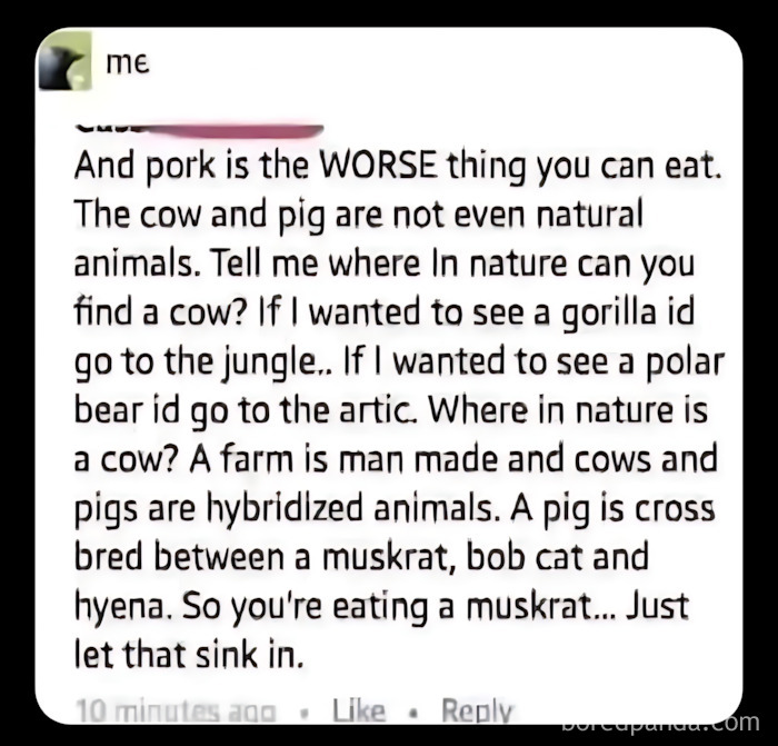 [Whispers] Don’t Tell Them About Wild Boar