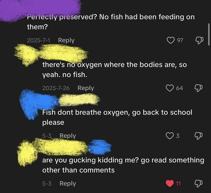 Wait, They Really Said That With That Much Confidence?!
