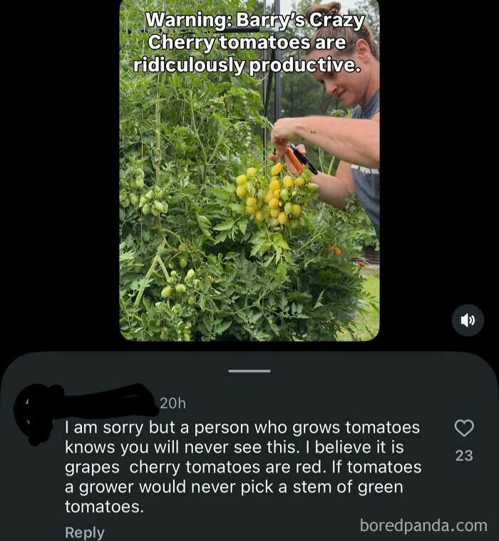 Wait, They Really Said That With That Much Confidence?!