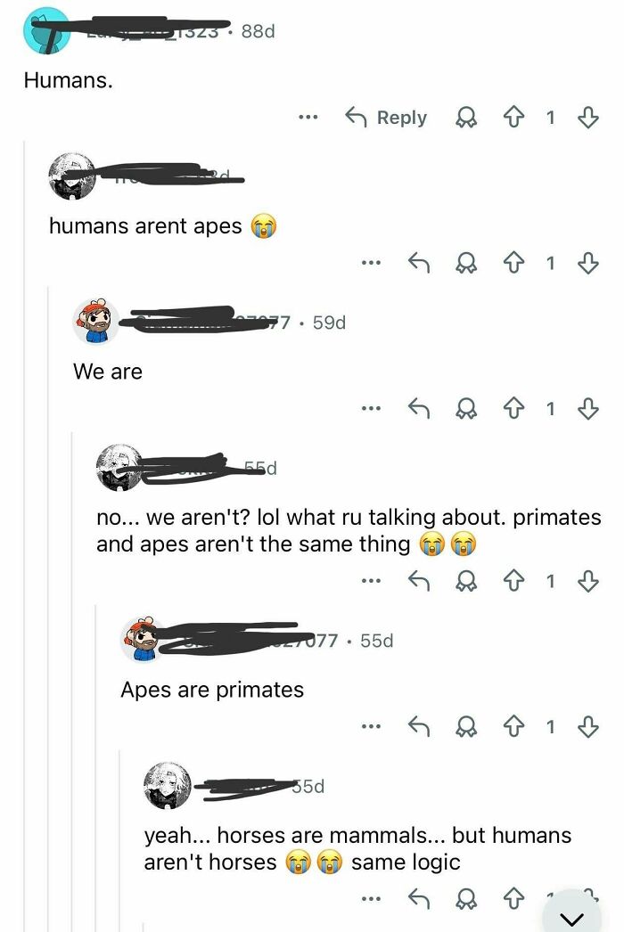 Wait, They Really Said That With That Much Confidence?!