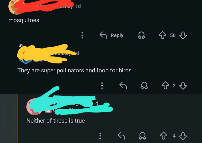 Wait, They Really Said That With That Much Confidence?!